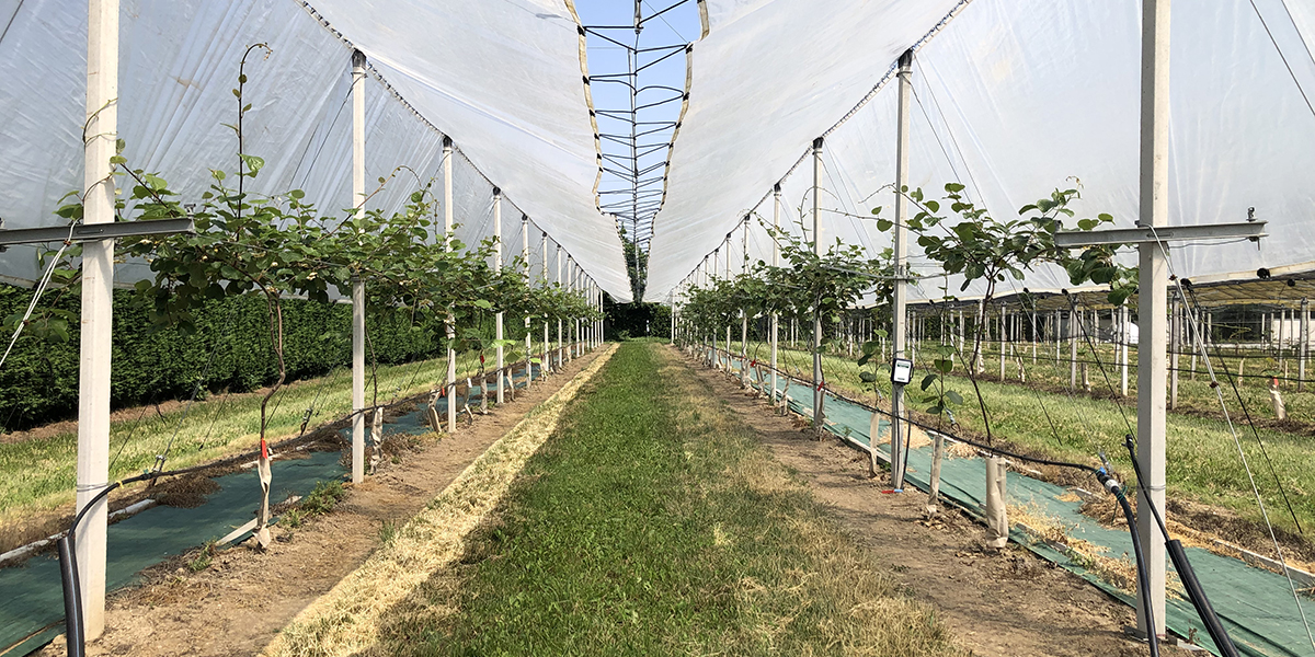 Fondazione Agrion ospita "In campo per la difesa"